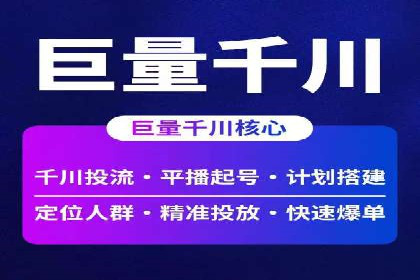 SEO策略在电商平台的成功应用案例